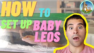 How to SET UP a baby LEOPARD GECKO tank  5 Steps 2021 [upl. by Jeanine]