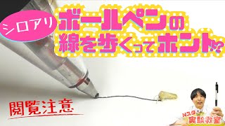 《閲覧注意！》【Ｎスタ実験教室】検証！シロアリ実験🐜 [upl. by Olaf]