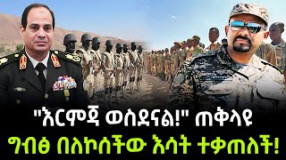 የግብፅ ሴራ ከሸፈ ተረክ ሚዛን Salon Terek [upl. by Oluap]