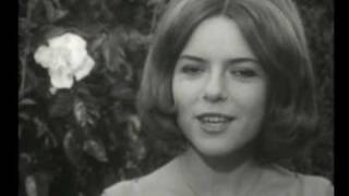 France Gall  Les rubans et la fleur [upl. by Onimixam264]