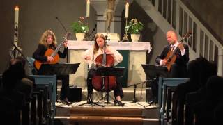 Belmont Trio plays Pauline ViardotGarcia Bohémienne Allegretto from Six Morceaux [upl. by Akaenahs]