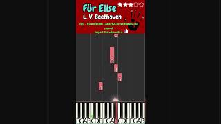 Für Elise  BEETHOVEN  PIANO FINGERED 4all [upl. by Aikas62]