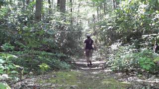 Wawayanda State Park  Pumphouse Trail  njHikingcom [upl. by Rahr]