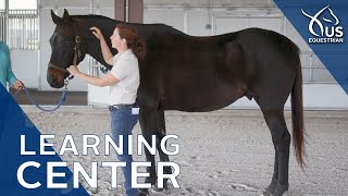 Learning Center Preview Basic Horse Anatomy with Dr Liz Barrett [upl. by Luce141]