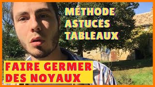 Comment faire GERMER DES NOYAUX facilement  Tableaux STRATIFICATION  pêcher abricot asiminier [upl. by Daugherty]