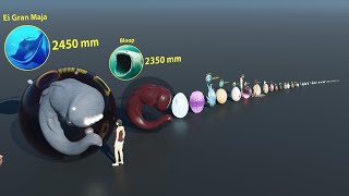 Monster Egg size comparison [upl. by Akeemat]