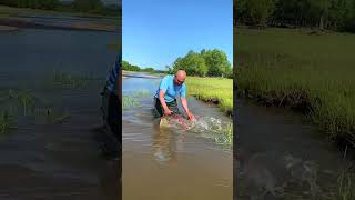 Wow Awesome Tip Unique fish trap Catching A lot of fish into the trap🎣shorts viral fishing [upl. by Lapotin]