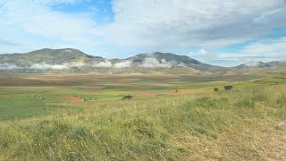 Castelluccio in bloom ITALY [upl. by Eceinal]