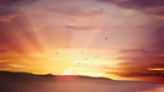 Sunrise moving clouds and flying birds  Video Background Loop HD 1080P [upl. by Chauncey312]