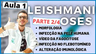 AULA LEISHMANIOSE Morfologia e resposta imune Ensino Superior Aula 24 Luix Parasitologia 7 [upl. by Kellsie]