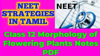 Morphology of Flowering Plants  Full Chapter Explanation  Class 11 Biology Chapter 5  NCERTNEET [upl. by Natsirk]