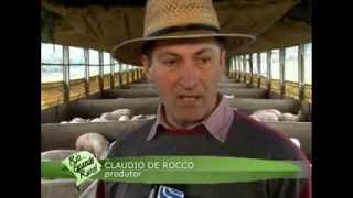 Sistema de integração na suinocultura  Programa Rio Grande Rural [upl. by Atiuqcir]