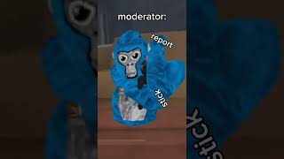 Toxic Kid VS Moderator gorillatagjuke meme gorillatagfun gorillatag funny monkey shorts [upl. by Llemij]