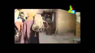 Serial Behlol e Dana  Episode 5  Urdu [upl. by Atinav]