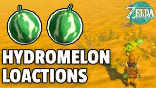 Where to find Hydromelons  The Legend of Zelda Tears of the Kingdom [upl. by Lonier]