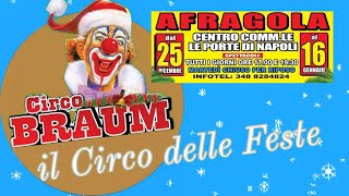 Natale al Circo Braum  Il Circo delle feste ad Afragola NA 2022 2023 [upl. by Elke]