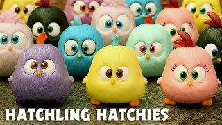 Hatchling Hatchies  Angry Birds [upl. by Anyah]