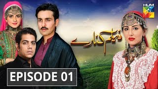 Neelum Kinaray Episode 01 HUM TV Drama [upl. by Nanaj]