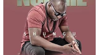 Ngonie WeRudo Kambarami Shungu ft King Shaddy Official Audio [upl. by Eilla]