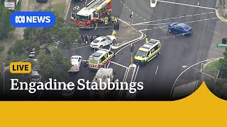 IN FULL NSW Police update on Engadine stabbings and crash  ABC News [upl. by Adnofal]