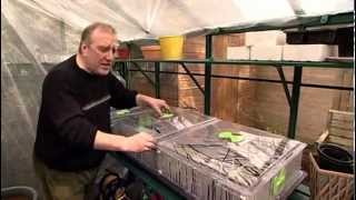 Vitopod Propagator from Harrod Horticultural [upl. by Akvir]