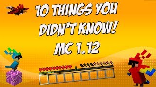 10 Things you didnt know about Minecraft 112 [upl. by Kataway154]