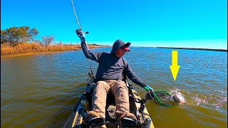 Locating winter Redfish in the bayou CATCH AND COOK redfish catchingredfish [upl. by Toney]