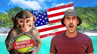 Monkeys EXPLOITED For Coconuts In Thailand [upl. by Naitsirhc]