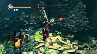 ♥ Dark Souls  Double Dragons  2 Into The Forest [upl. by Euphemiah]