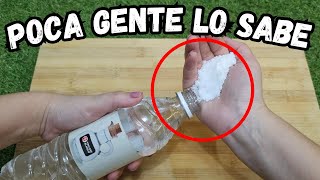 Mezcla SALT con Vinagre Blanco 😱 No creerás que pocas conocen sus usos [upl. by Collins]