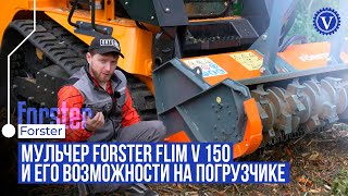 Мульчер Forster  Роторный измельчитель кустарников и деревьев в действии  Полный обзор [upl. by Hett]