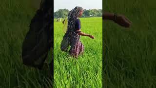 singing बलम song love music singer youtubeshorts swatimishra avdhigeet folksongs [upl. by Aihsei]