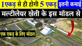 1 एकड़ में मल्टीलेयर खेती के इस मॉडल से सलाना 5 से 8 लाख की कमाई  1 Acre Farming Model [upl. by Ainotahs]