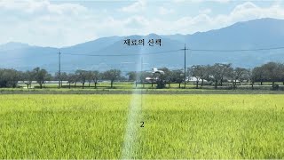 일상일기2 내 집 찾아 삼만리 구례 임장 여행 [upl. by Swehttam]