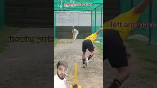 Unplayable yorker or perfect inswing yorker badrupaze cricket totalsport [upl. by Thurber]