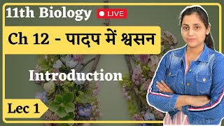 L1 Introduction Ch12 पादप में श्वसन  11th Biology hindi medium By Renu Maam [upl. by Dituri]