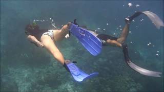 Introduction to Freediving Pure Diver [upl. by Jorrie459]