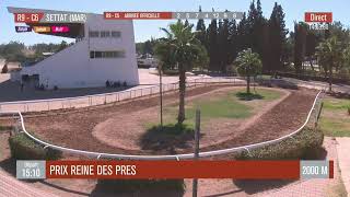 Live Hippodrome « SETTAT »  Courses du « 05102024 » [upl. by Donohue]