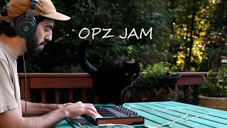 Midday Melodies Sunny Porch OPZ Jam [upl. by Siseneg]