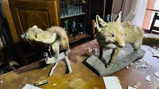 Urbex La maison du taxidermiste [upl. by Verlee]