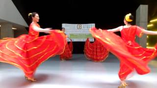 quotWings of the Golden Agequot Chinese Dance at 2014 Healthy Living Expo UTM [upl. by Alleahcim]