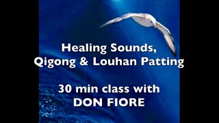 Healing Sounds Qigong Louhan Patting  30 minutes with Don Fiore [upl. by Gow941]