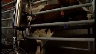 DeLaval Milk quality  Automated Dairy Farming Solutions  DeLaval [upl. by Louie]