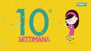 10° settimana di gravidanza [upl. by Sergu]