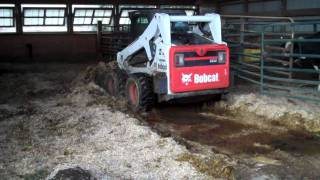 Bobcat S650 cleaning the heifer pen [upl. by Ain]