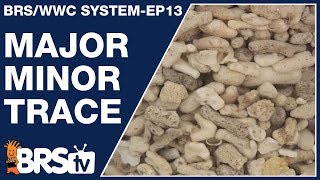 Ep13 Major minor and trace elements for your reef tank  The BRSWWC System [upl. by Curson401]