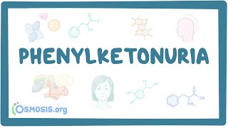 Phenylketonuria  causes symptoms diagnosis treatment pathology [upl. by Nnairrek301]