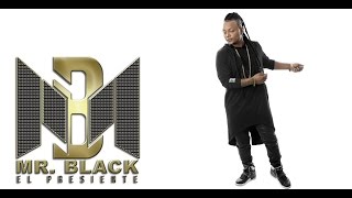 No Al Aborto Audio  Mr Black El Presidente ® 2012 [upl. by Nnarefinnej]