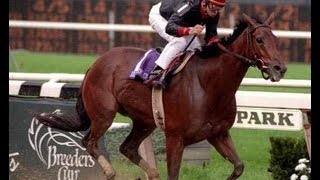 Inside Information  1995 Breeders Cup Distaff  Post Race amp Interviews [upl. by Aihsilef]