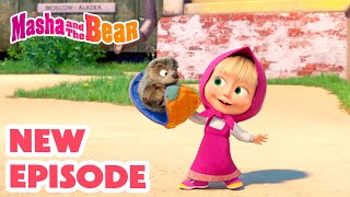 Masha and the Bear 2024 🎬 NEW EPISODE 🦔 My CutiePatootie 🥰 🎬 Best cartoon collection [upl. by Haleeuqa]